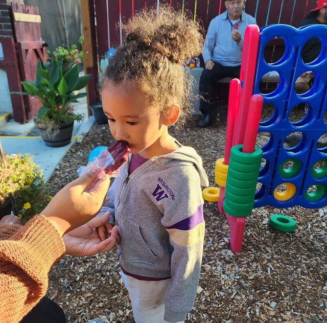 Tacoma Catering Dessert Shop Popsicles